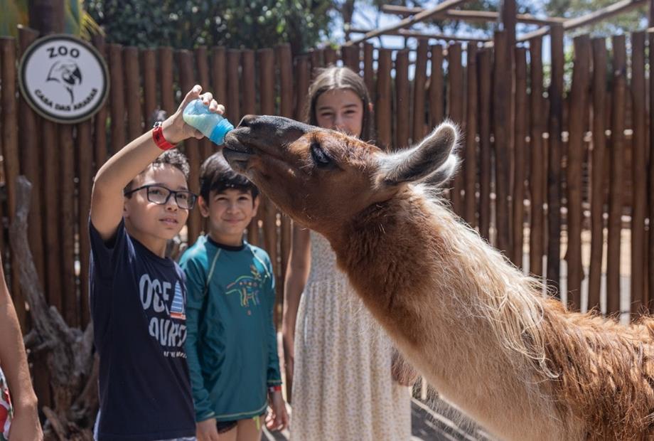 whatsapp image 2026-01-12 at 10.02.20.jpeg