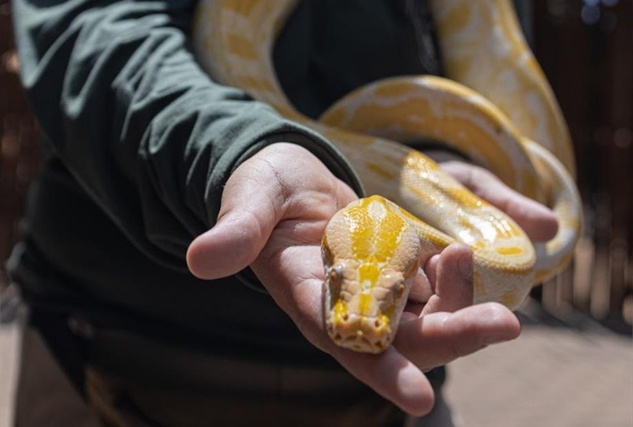 whatsapp image 2026-01-12 at 10.02.06.jpeg