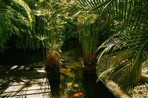 whatsapp image 2023-10-28 at 13.24.59 (20).jpeg