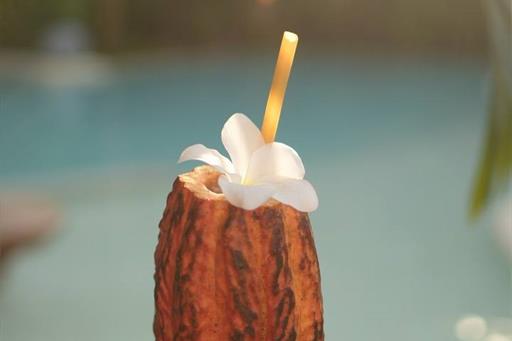 whatsapp image 2023-10-28 at 13.30.59 (15).jpeg