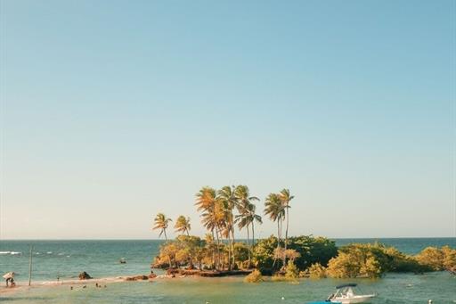 whatsapp image 2023-10-28 at 13.33.01 (3).jpeg