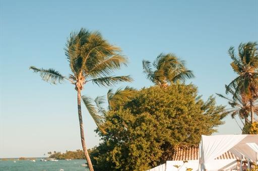 whatsapp image 2023-10-28 at 13.33.01 (1).jpeg