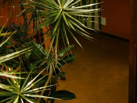 whatsapp image 2023-10-28 at 13.24.59 (10).jpeg