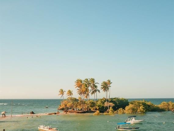 whatsapp image 2023-10-28 at 13.33.01 (3).jpeg