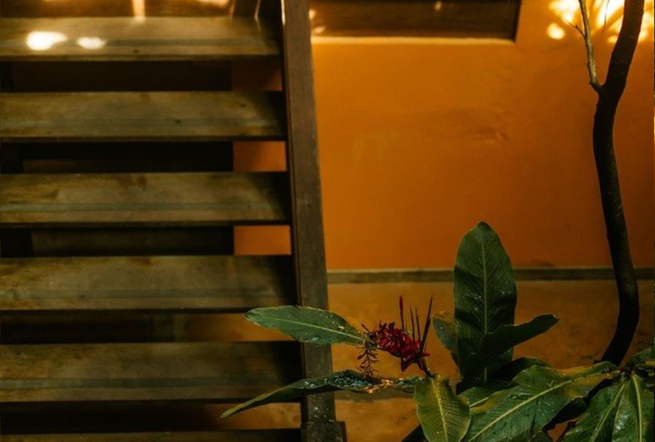 whatsapp image 2023-10-28 at 13.24.59 (9).jpeg