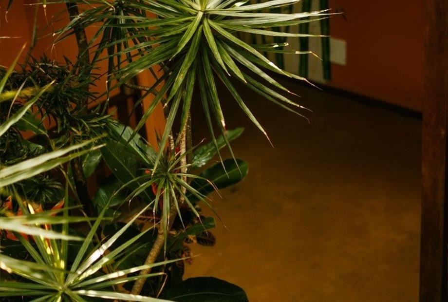 whatsapp image 2023-10-28 at 13.24.59 (10).jpeg