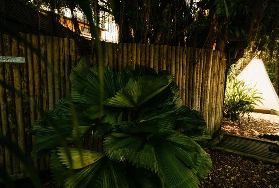 whatsapp image 2023-10-28 at 13.24.59 (18).jpeg