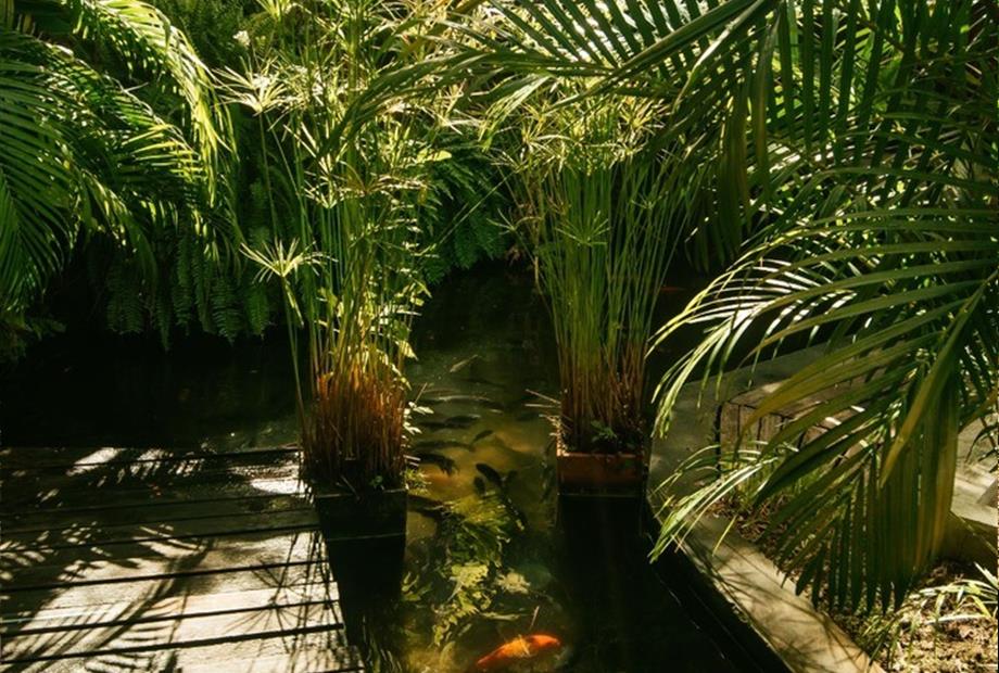 whatsapp image 2023-10-28 at 13.24.59 (20).jpeg