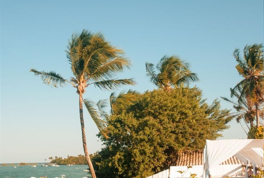 whatsapp image 2023-10-28 at 13.33.01 (1).jpeg