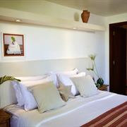 SUITE VISTA JARDIM DBL