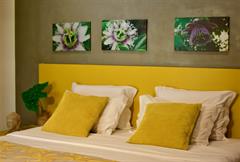 SUITE VISTA JARDIM QDPL