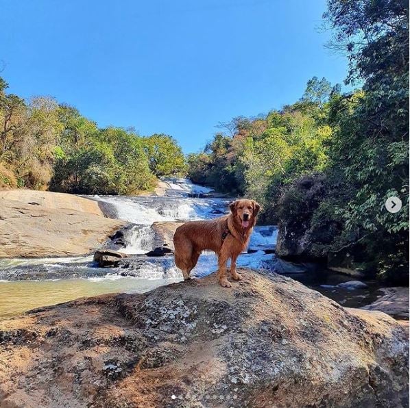 parque dos sonhos  pet friendly em socorro-sp.jpg