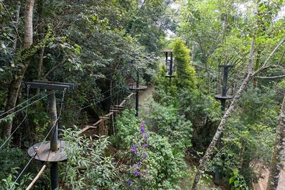 2020-01-29 campo dos sonhos 218.jpg