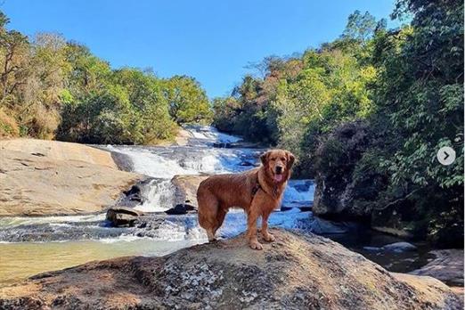 parque dos sonhos  pet friendly em socorro-sp.jpg