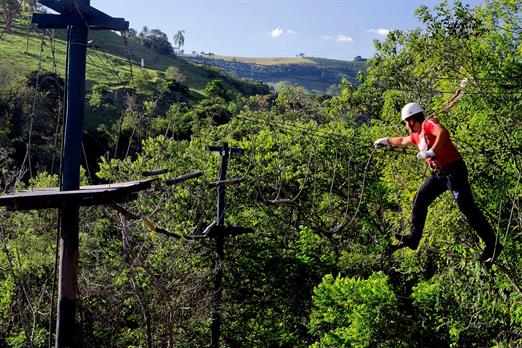 arvorimos - parque dos sonhos.jpg