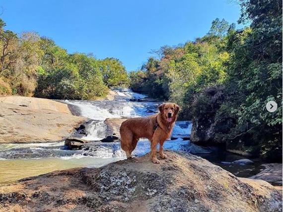 parque dos sonhos  pet friendly em socorro-sp.jpg