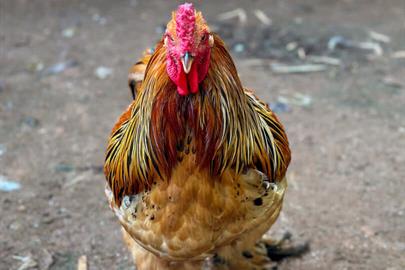 @larinery.foto - 1 (16).jpg