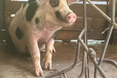 @larinery.foto - 1 (17).jpg