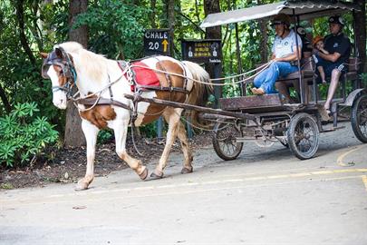2020-01-29 campo dos sonhos 506.jpg