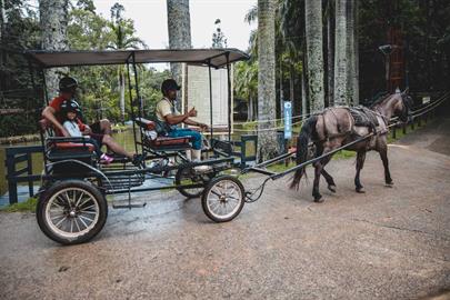 troller - campo dos sonhos - socorro sp.jpg