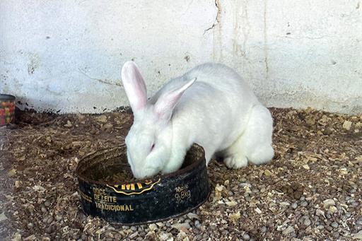 @larinery.foto - 1 (15).jpg