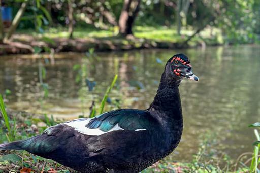 @larinery.foto - 1 (18).jpg