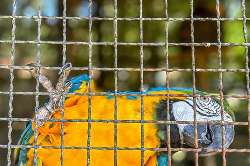 @larinery.foto - 1 (10).jpg