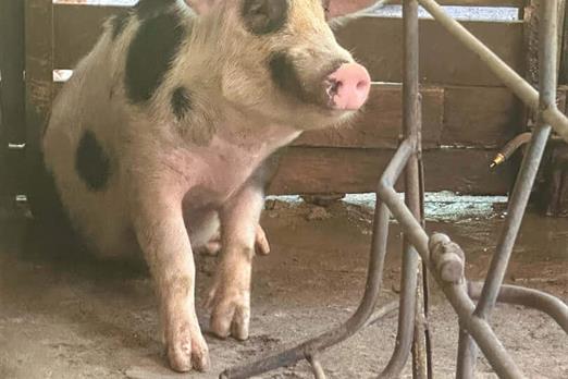 @larinery.foto - 1 (17).jpg