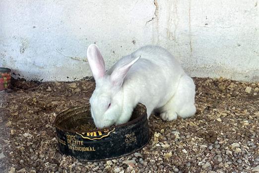 @larinery.foto - 1 (15).jpg