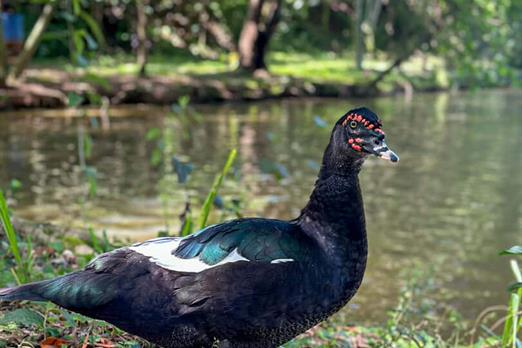 @larinery.foto - 1 (18).jpg