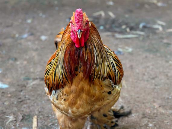 @larinery.foto - 1 (16).jpg