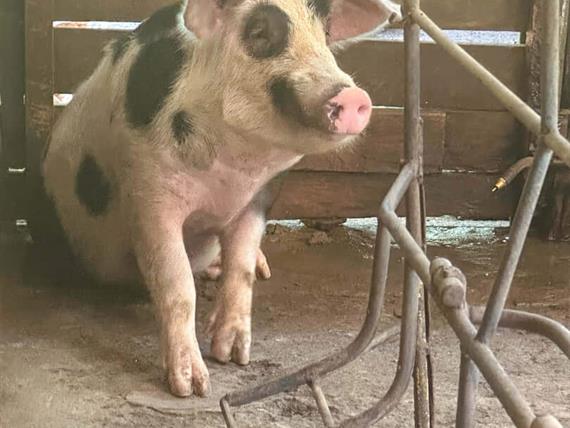 @larinery.foto - 1 (17).jpg