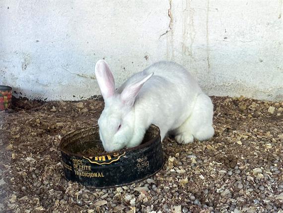 @larinery.foto - 1 (15).jpg