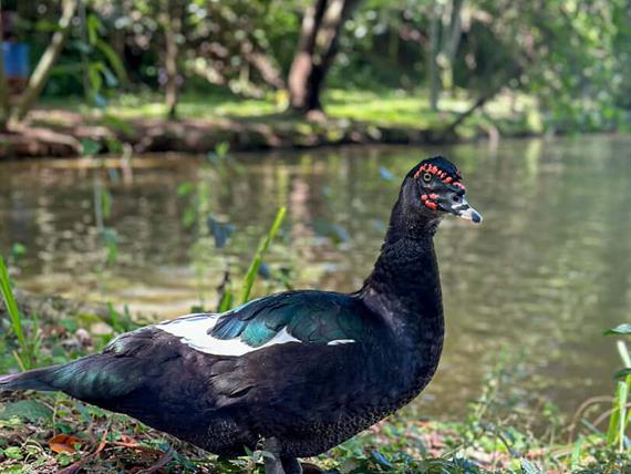 @larinery.foto - 1 (18).jpg