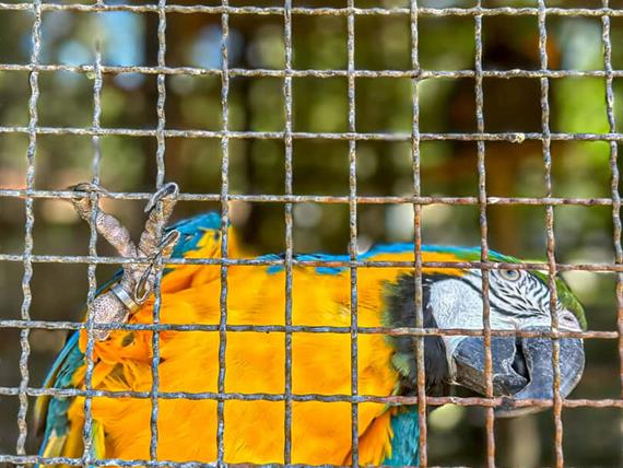 @larinery.foto - 1 (10).jpg