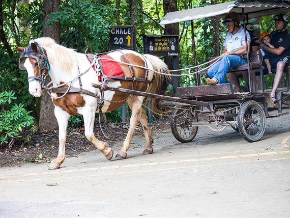 2020-01-29 campo dos sonhos 506.jpg