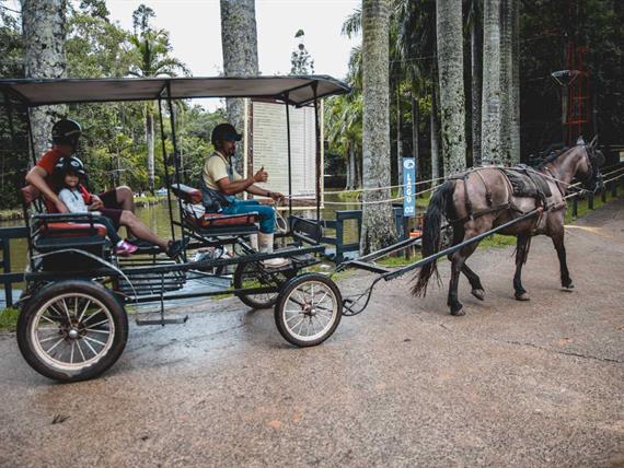 troller - campo dos sonhos - socorro sp.jpg