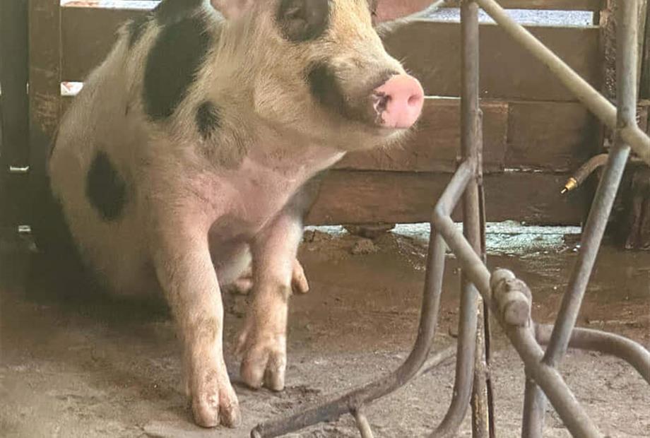 @larinery.foto - 1 (17).jpg