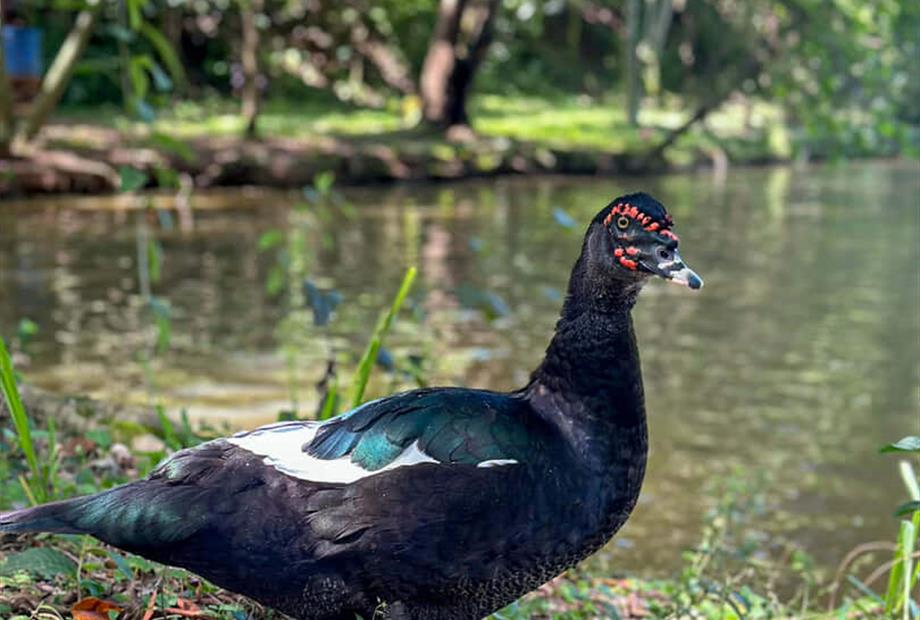 @larinery.foto - 1 (18).jpg