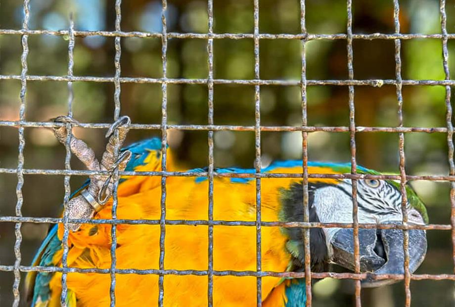 @larinery.foto - 1 (10).jpg