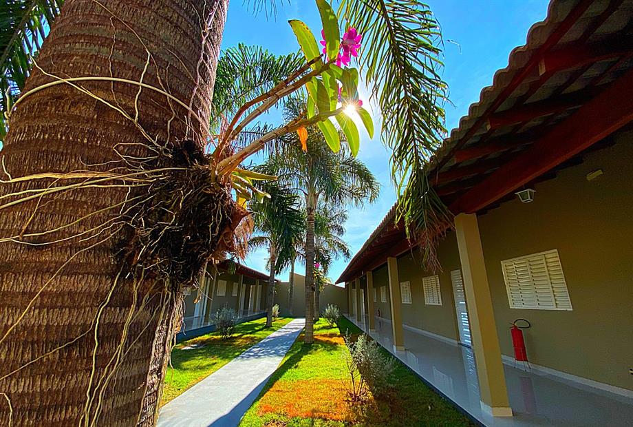 design sem nome (1)-compressed.jpg