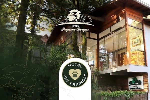 Foto 5 do Hotel Pequeno Bosque