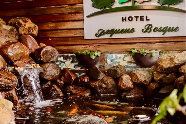 Foto 4 do Hotel Pequeno Bosque