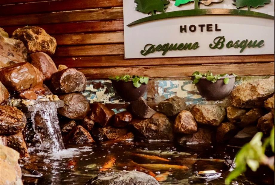 adobe express - file (1).jpg