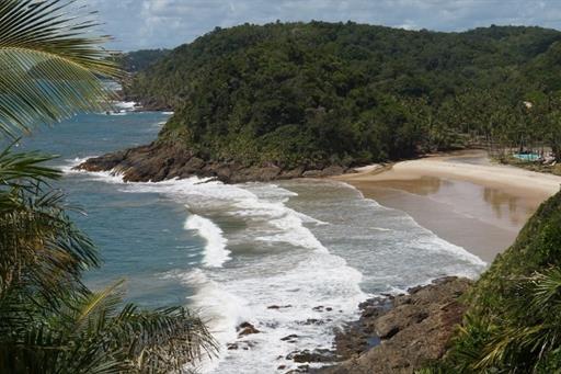 dsc02671 (800x450).jpg