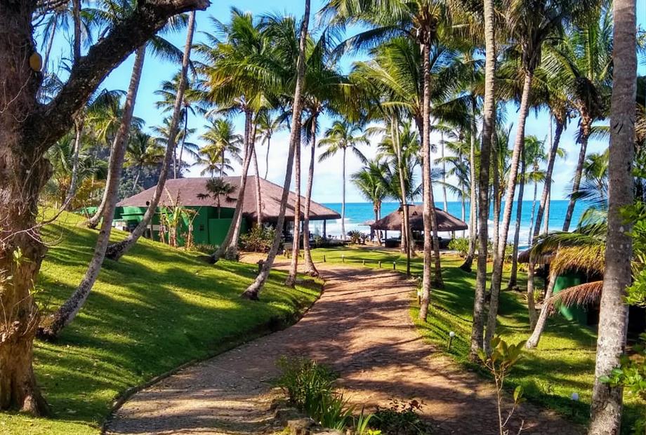 whatsapp image 2020-07-29 at 15.18.26 (8).jpeg