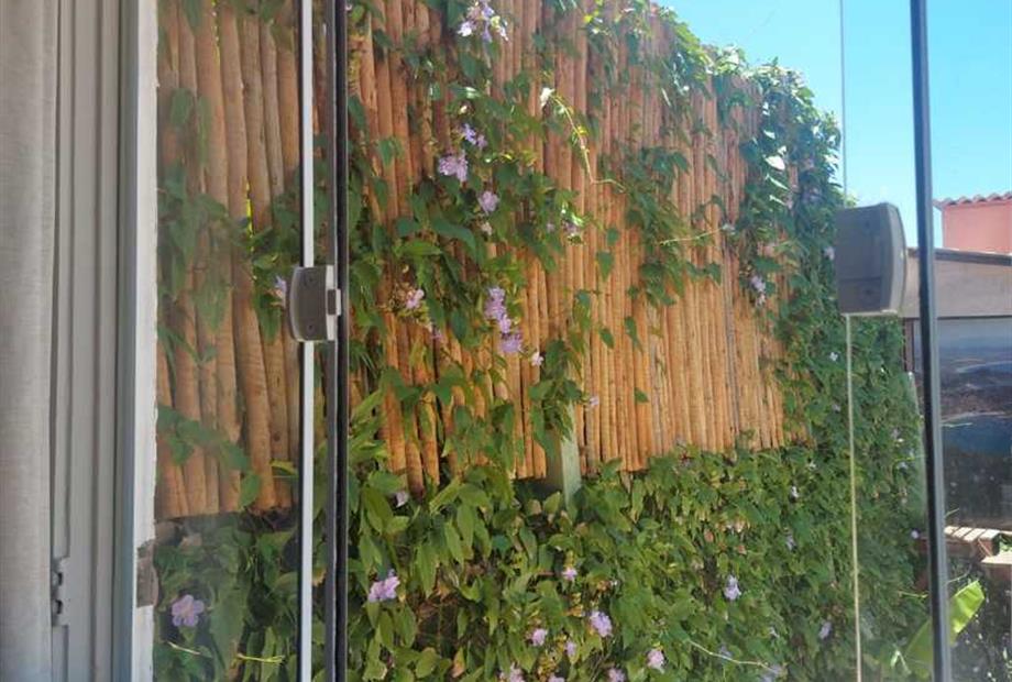 whatsapp image 2024-01-13 at 20.21.31.jpeg