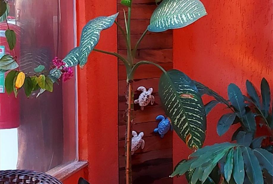 whatsapp image 2022-07-11 at 14.34.24 (5).jpeg