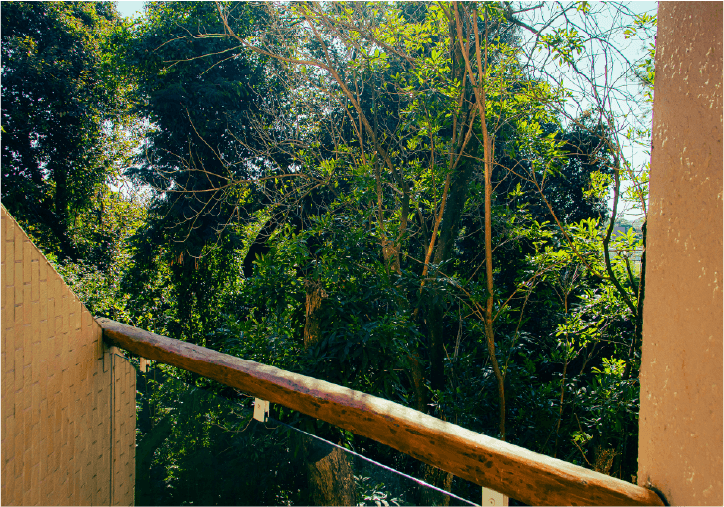 foto - omnibees - suite master - bosque 5.png