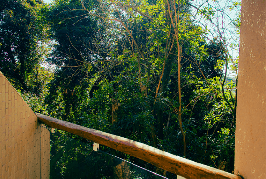 foto - omnibees - suite master - bosque 5.png